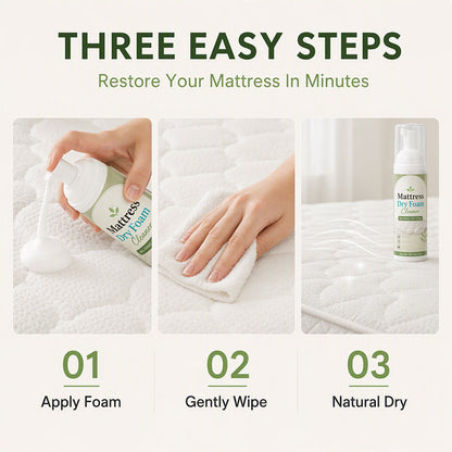 🎃 Halloween Special | No-Rinse Mattress Cleaning Foam – Enzyme-Powered & Quick-Dry 🛏️✨